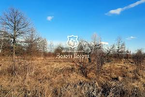 ділянка за адресою Хутірська вул. (Жовтнева), 1