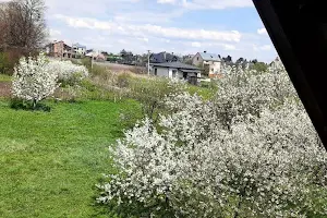 будинок за адресою Польова вул., 6