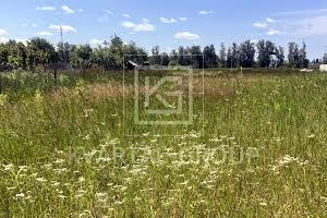 ділянка за адресою Липова
