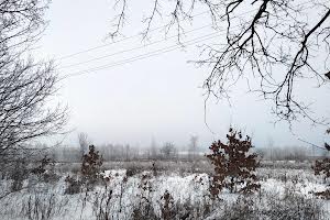 ділянка за адресою Чернігів, Багряного