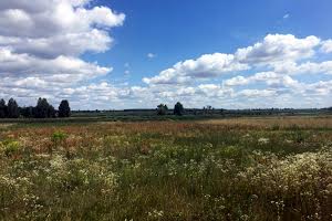 ділянка за адресою с. Березівка, Калиновая