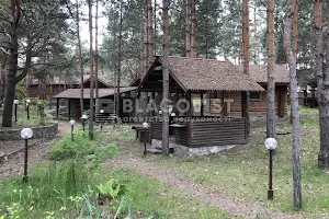 комерційна за адресою с. Підгірці, боровкова, 21