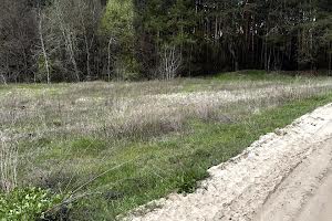 будинок за адресою Лісна
