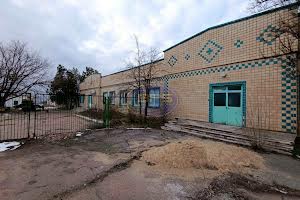 комерційна за адресою Центральна, 1