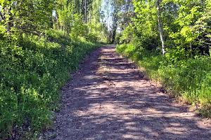участок по адресу Центральна
