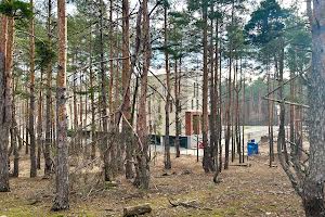 участок по адресу Кільцева