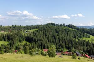 участок по адресу Горішків