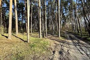 участок по адресу Старообухівська ул.