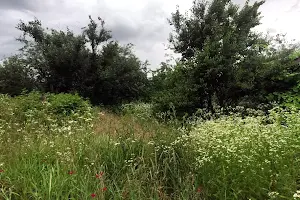 будинок за адресою Романькивський провулок