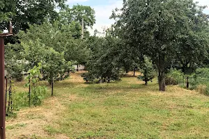 участок по адресу Петропавловская ул.