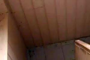 будинок за адресою 21-й км Старокиевской дороги вул.