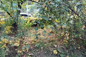 участок по адресу Соколовський масив