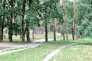 будинок за адресою Мальовнича