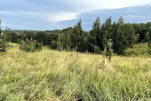 участок по адресу Лісова