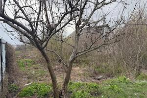 ділянка за адресою Ворошилова