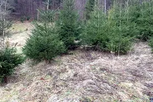 ділянка за адресою с. Микуличин, Стави