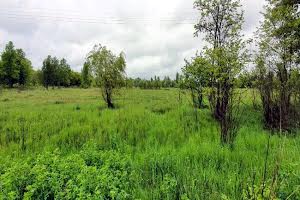 ділянка за адресою Овруч, Металістів