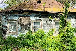 дом по адресу Мічуріна