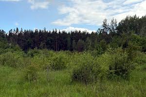 участок по адресу с. Козинцы, 