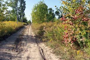 участок по адресу с. Белогородка, Молодецька, 74