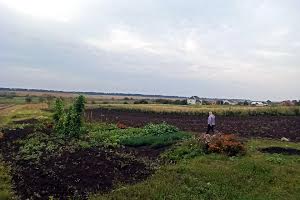 будинок за адресою Шевченка