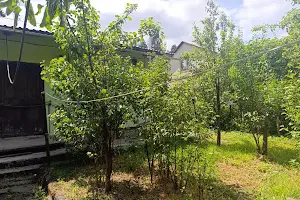 дом по адресу Городоцкая ул.