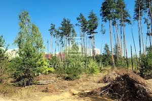ділянка за адресою незалежності