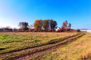 ділянка за адресою с. Рогозів, 