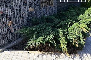 будинок за адресою Кільцева вул.