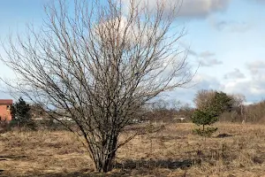 ділянка за адресою Кругла