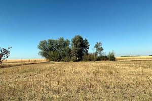 будинок за адресою Світанкова