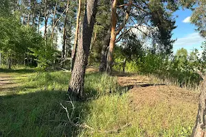 ділянка за адресою Лугова вул.