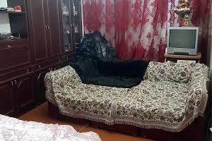 квартира за адресою Гв-Широнінців вул., 59