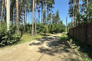 участок по адресу Житомир, 