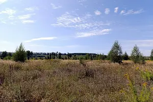 участок по адресу  ул.