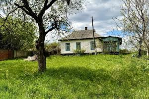 будинок за адресою смт. Ріпки, Набережна вул., 40