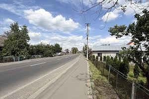 дом по адресу Грушевського, 116