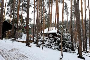 будинок за адресою Лісова