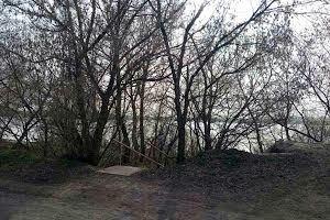будинок за адресою 88-а Садова, 55