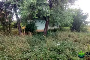 дом по адресу Довженка