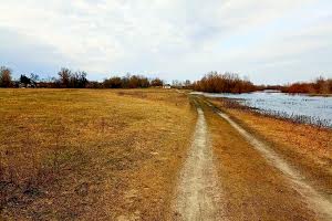 участок по адресу с. Брусилов, 