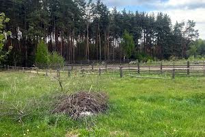 дом по адресу с. Гущинцы, Заводська ул.