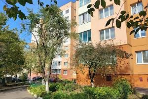 квартира за адресою Олени Теліги вул., 49