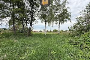 участок по адресу с. Гнедин, Механізаторів
