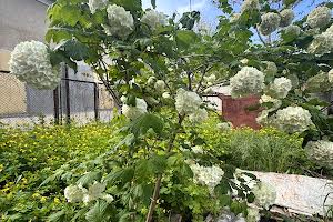 ділянка за адресою Купріна вул., 17