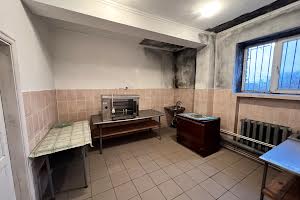 комерційна за адресою с. Нова Чортория, Незалежності, 13