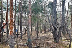 ділянка за адресою Шевченка вул.