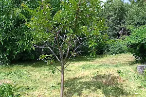 будинок за адресою Центральна