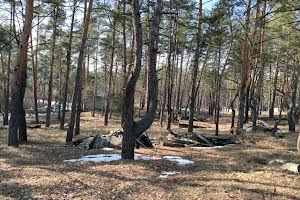дом по адресу Новая ул., 77