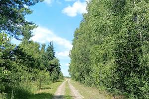 будинок за адресою Михайла Грушевського вул.